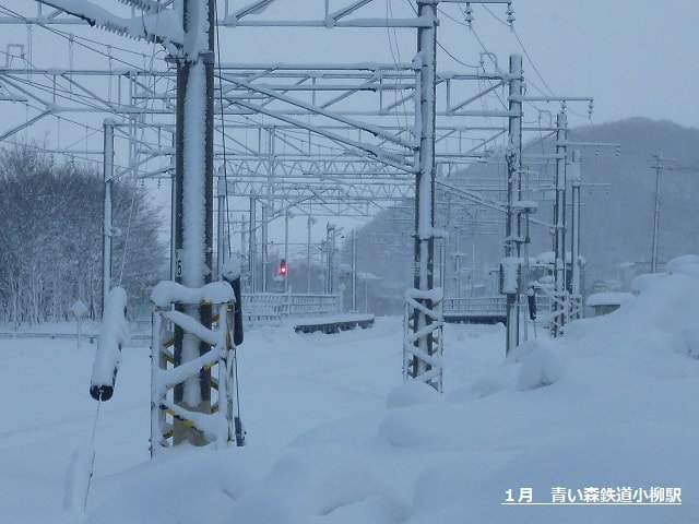 img20200121104836845786.jpg