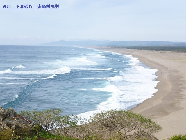 img20200121104922335133.jpg